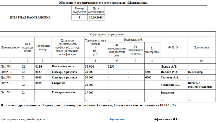 Штатное замещение образец заполнения