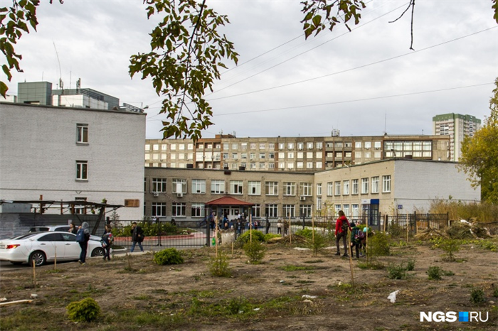 Повысить квалификацию можно будет за счет государства