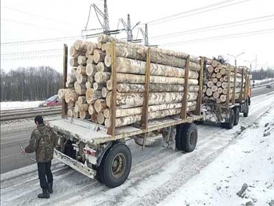 Закупаем кругляк береза осина ольха на дрова