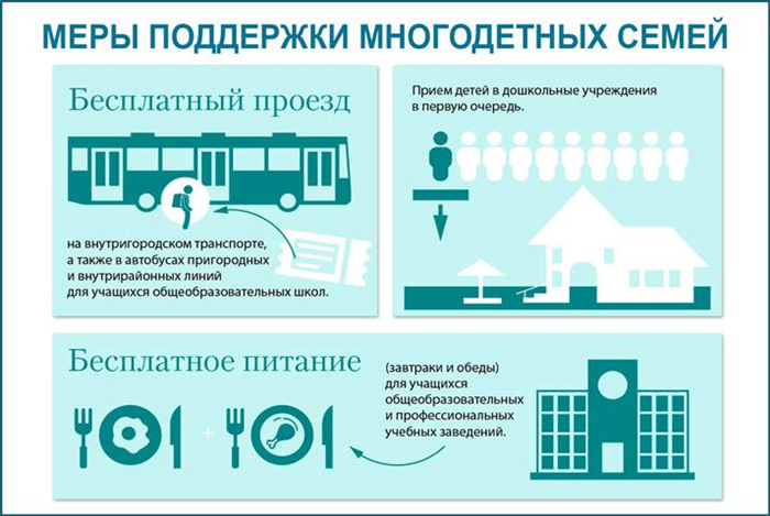 Транспортная карта для многодетных. Льготы многодетным. Льготы на проезд. Проездной многодетным. Многодетные льготы на проезд.