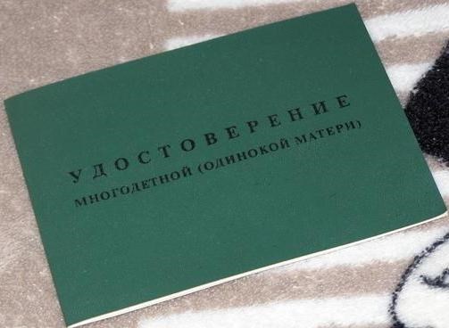 Как получить бесплатное жилье одинокому родителю