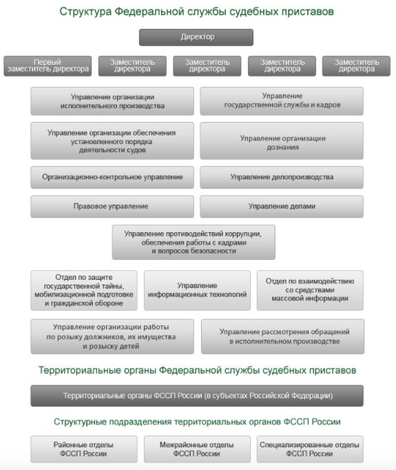 Правила устройства на работу в ФССП