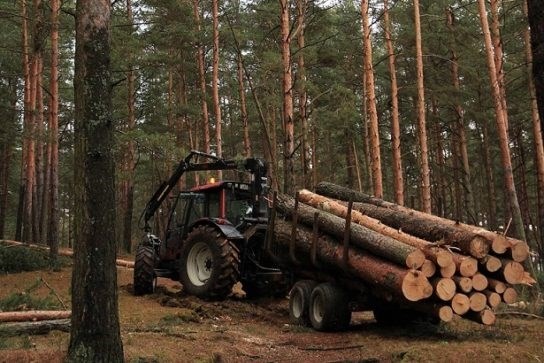 Проверьте свои знания