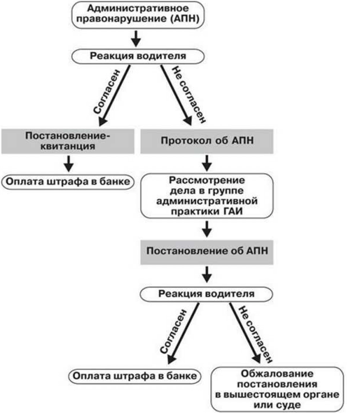 Порядок оплаты штрафа ГИБДД